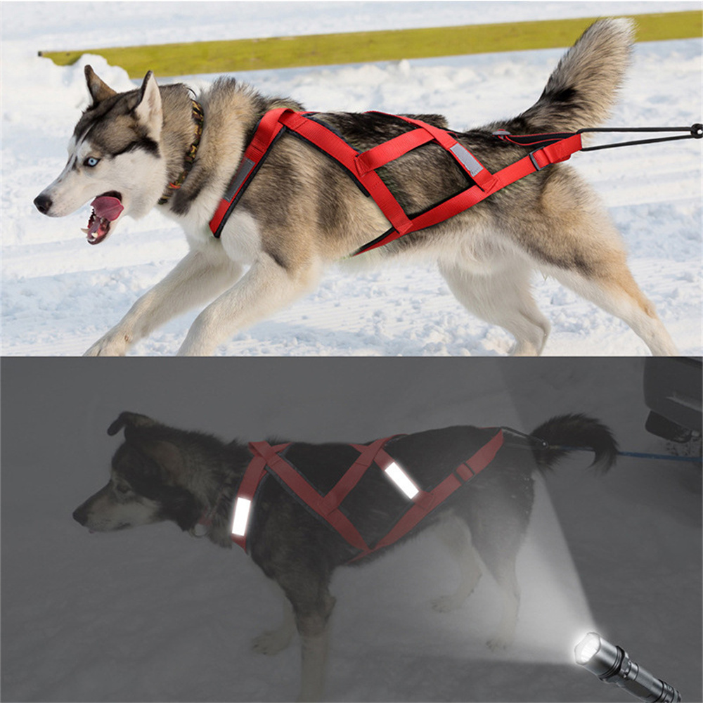 High Quality Big Dog Sledge Ha - Reflective Running Jacket review and price